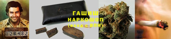 сатива Заводоуковск