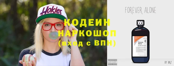 сатива Заводоуковск