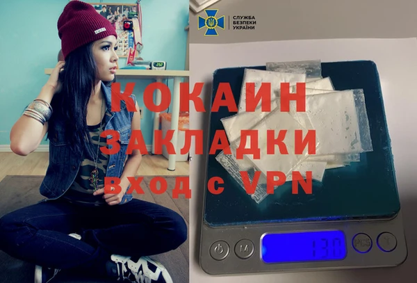 сатива Заводоуковск