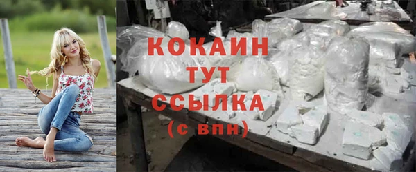 сатива Заводоуковск