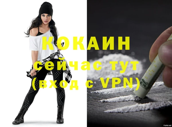 сатива Заводоуковск