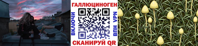 Галлюциногенные грибы MAGIC MUSHROOMS  KRAKEN ссылки  Нестеров 
